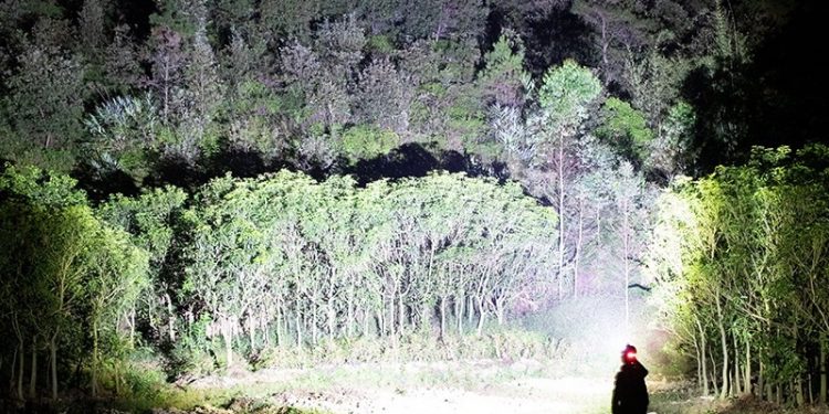 Top 8 Lampu Suluh Kepala Terang Malaysia 2024